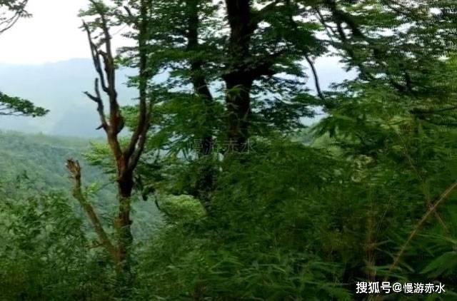 脑洞小老弟无实名认证