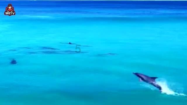 海上顶推首个航次启程,小清河开启河海直达新模式