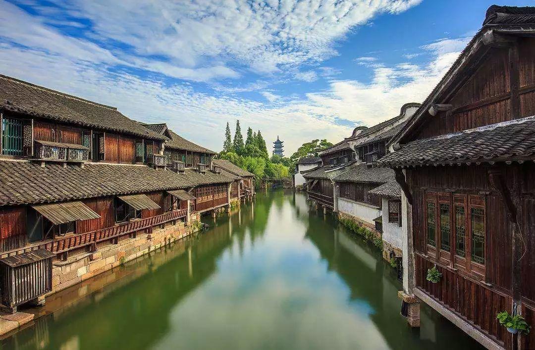 拯救可爱小浣熊